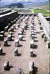 RomanwallnorthumberlandHousestedsFort.jpg